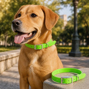 HappyMax CleanWalk Dog Collar
